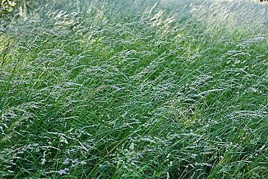 传承经典《合金弹头：战略版》开发视频公开